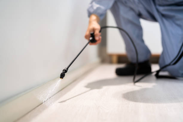 Licensed Termite Control service in Harahan, LA - Nex Pest Control