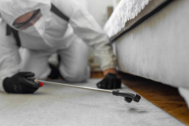 Professional Termite Control technician working in Harahan, LA
