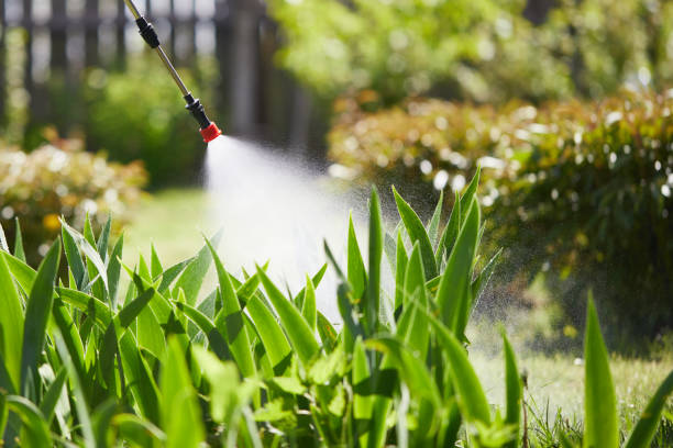 24/7 Emergency Termite Control experts in Harahan, LA