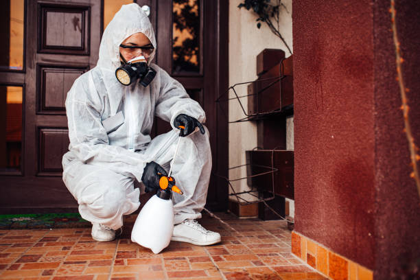 Reliable Termite Control contractor in Harahan, LA by Nex Pest Control