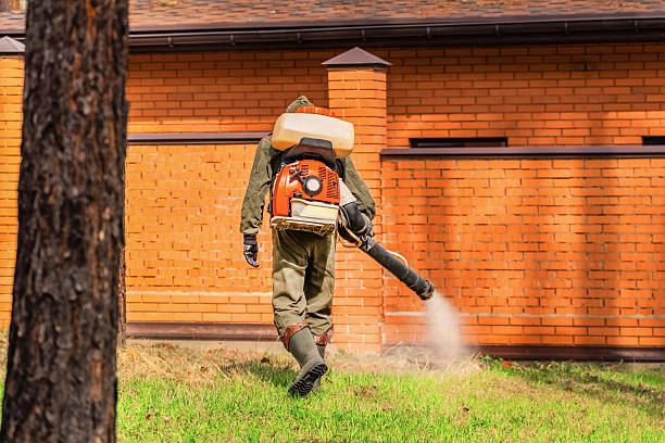 Top rated local Termite Control specialists in Harahan, LA